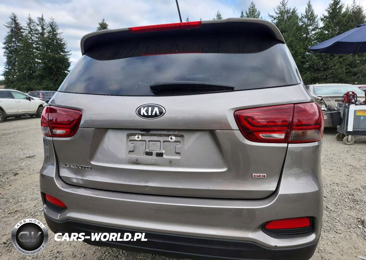 2019 Kia Sorento Lx VIN:5XYPG4A32KG503861 - 6