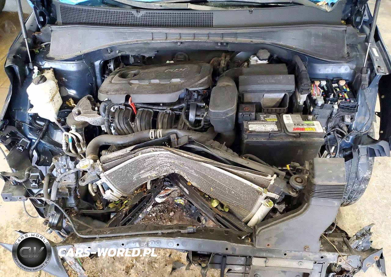2017 Kia Sorento Lx VIN:5XYPGDA31HG292838 - 12