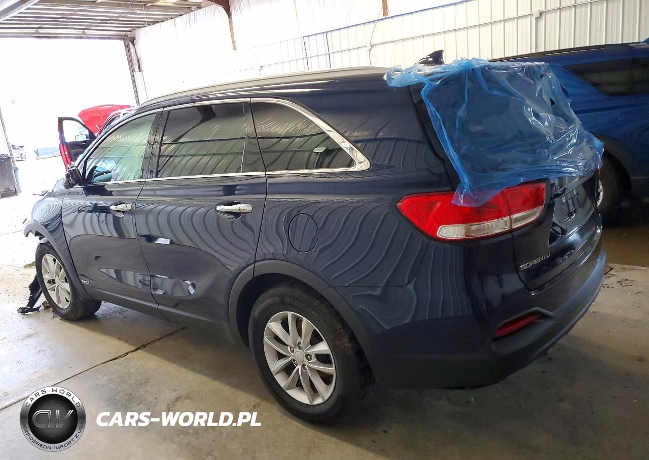 2017 Kia Sorento Lx VIN:5XYPGDA31HG292838 - 2