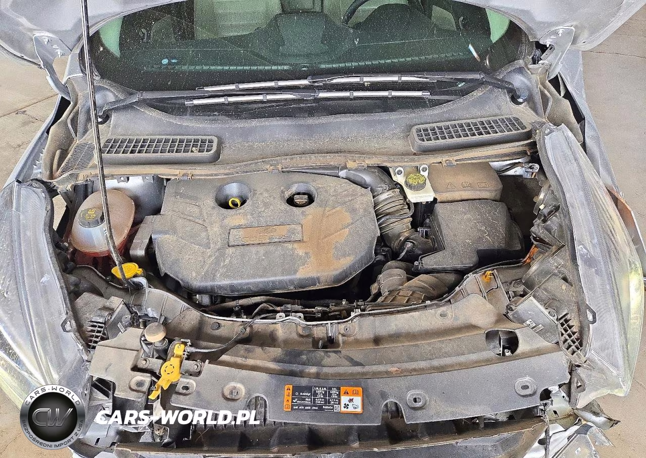 2019 Ford Escape Titanium VIN:1FMCU0J91KUC58047 - 12