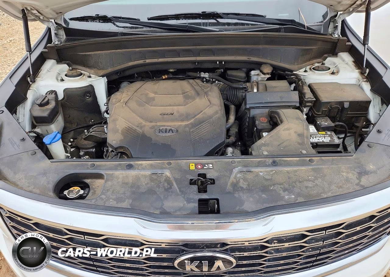 2020 Kia Telluride S VIN:5XYP64HC2LG036371 - 12