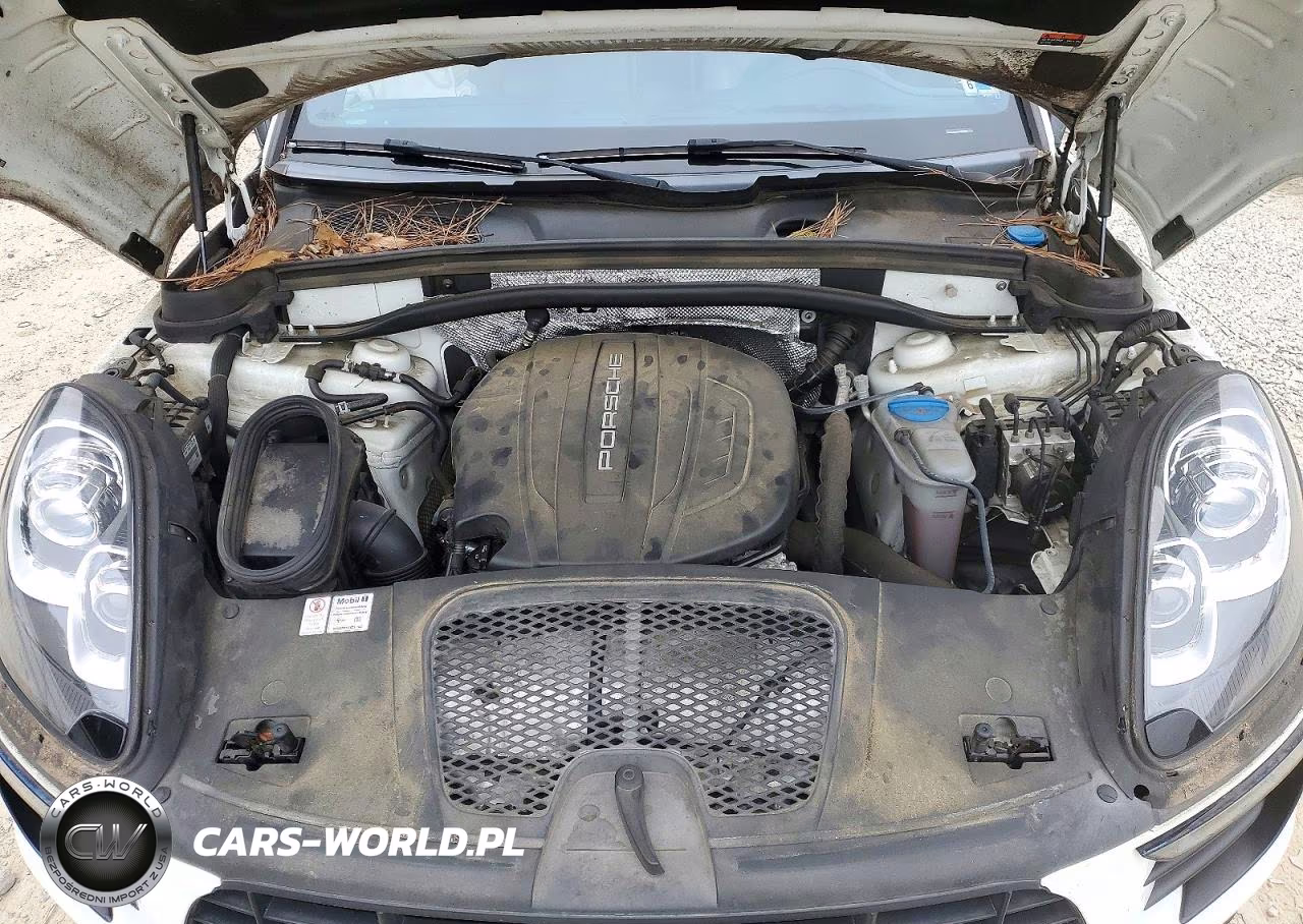 2018 Porsche Macan VIN:WP1AA2A56JLB03977 - 12