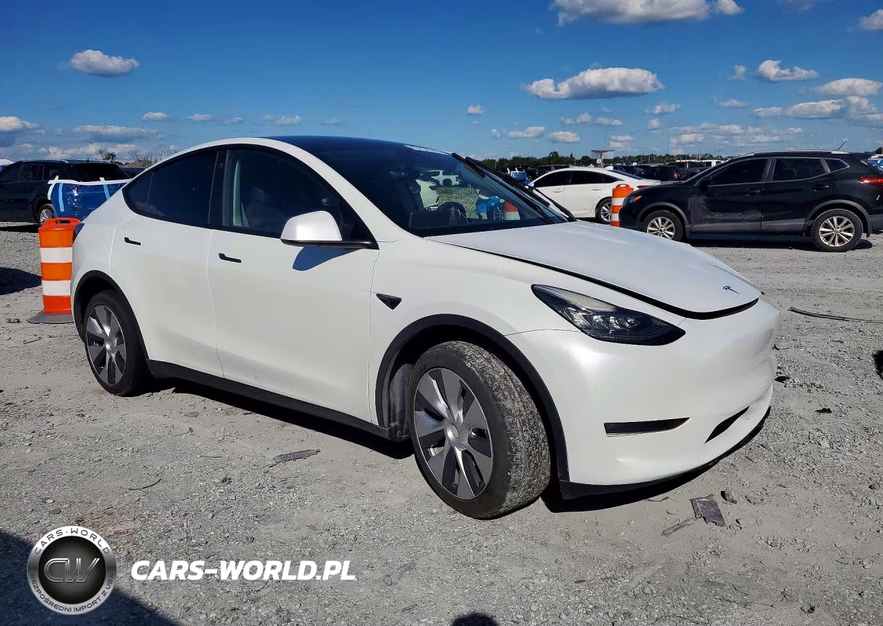 2023 Tesla Model Y VIN:7SAYGDEEXPA090960 - 4