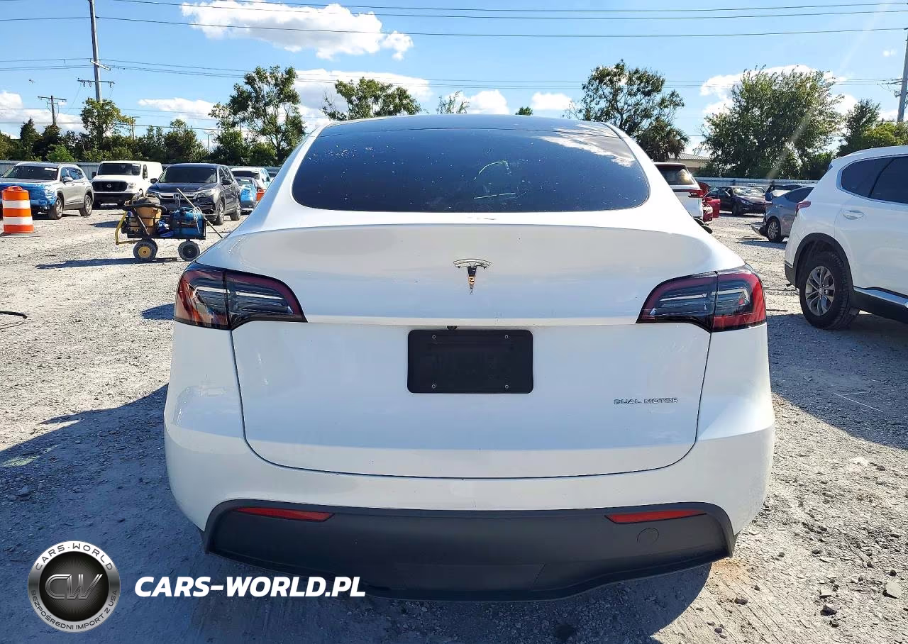 2023 Tesla Model Y VIN:7SAYGDEEXPA090960 - 6