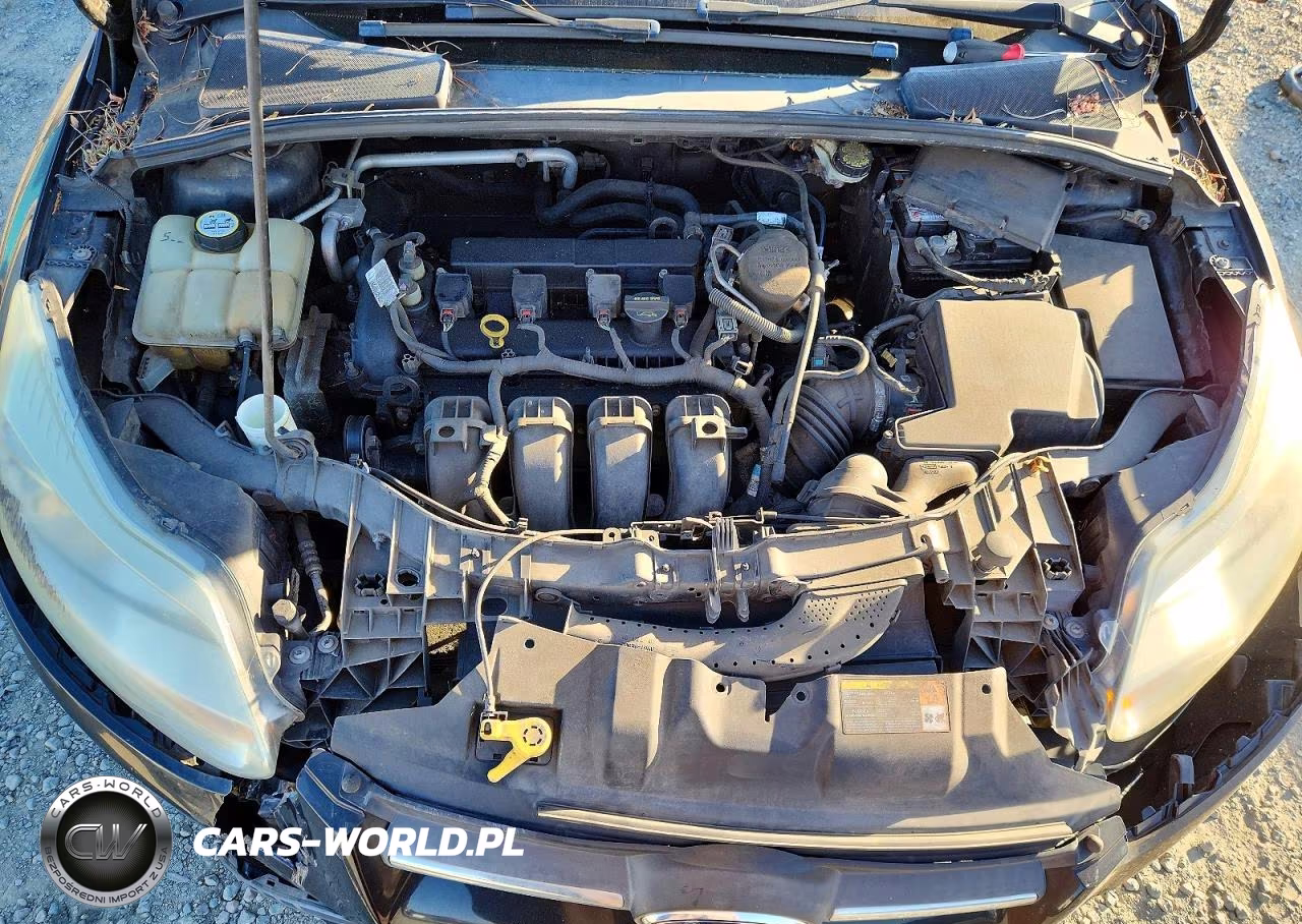 2013 Ford Focus Se VIN:1FADP3F20DL343456 - 11