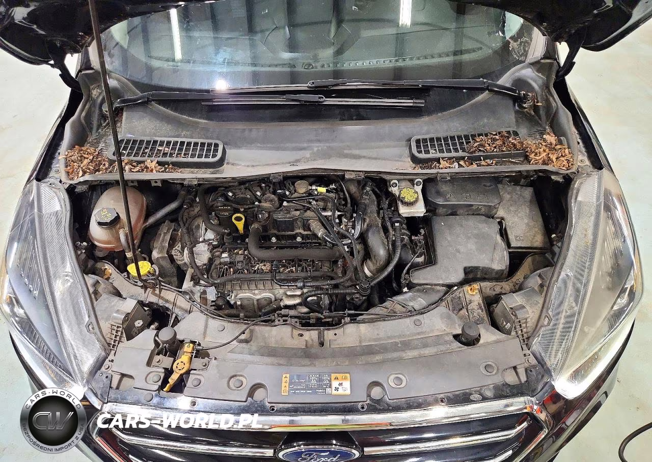 2019 Ford Escape Se VIN:1FMCU9GD1KUB30469 - 12