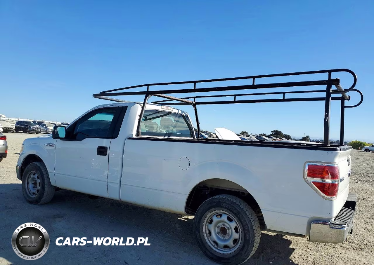 2013 Ford F150 VIN:1FTNF1CF4DKE25032 - 2