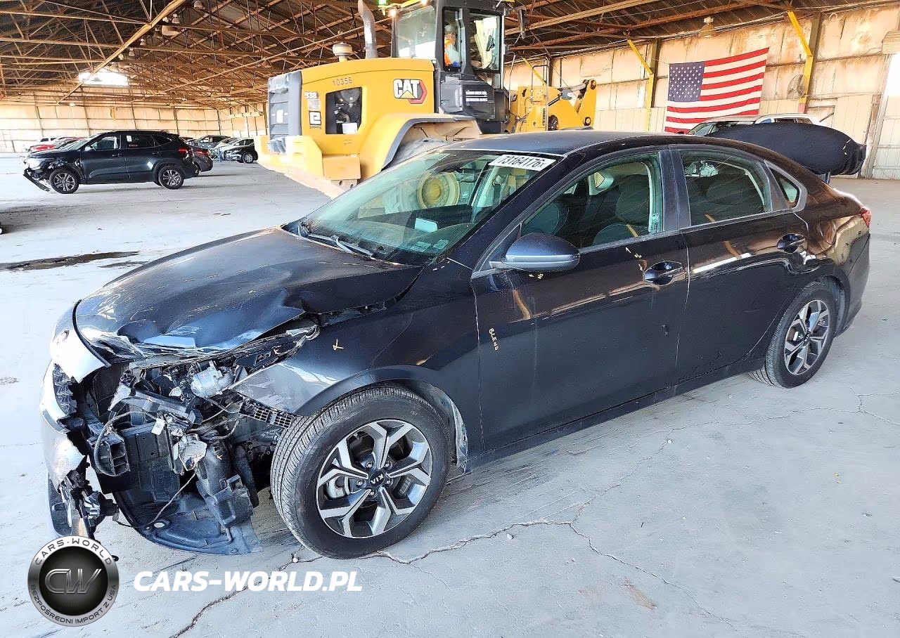 2019 Kia Forte Lxs