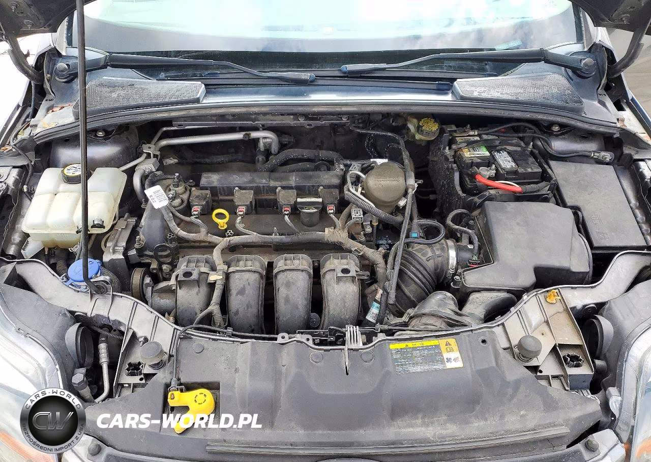 2013 Ford Focus Se VIN:1FADP3F28DL185044 - 11