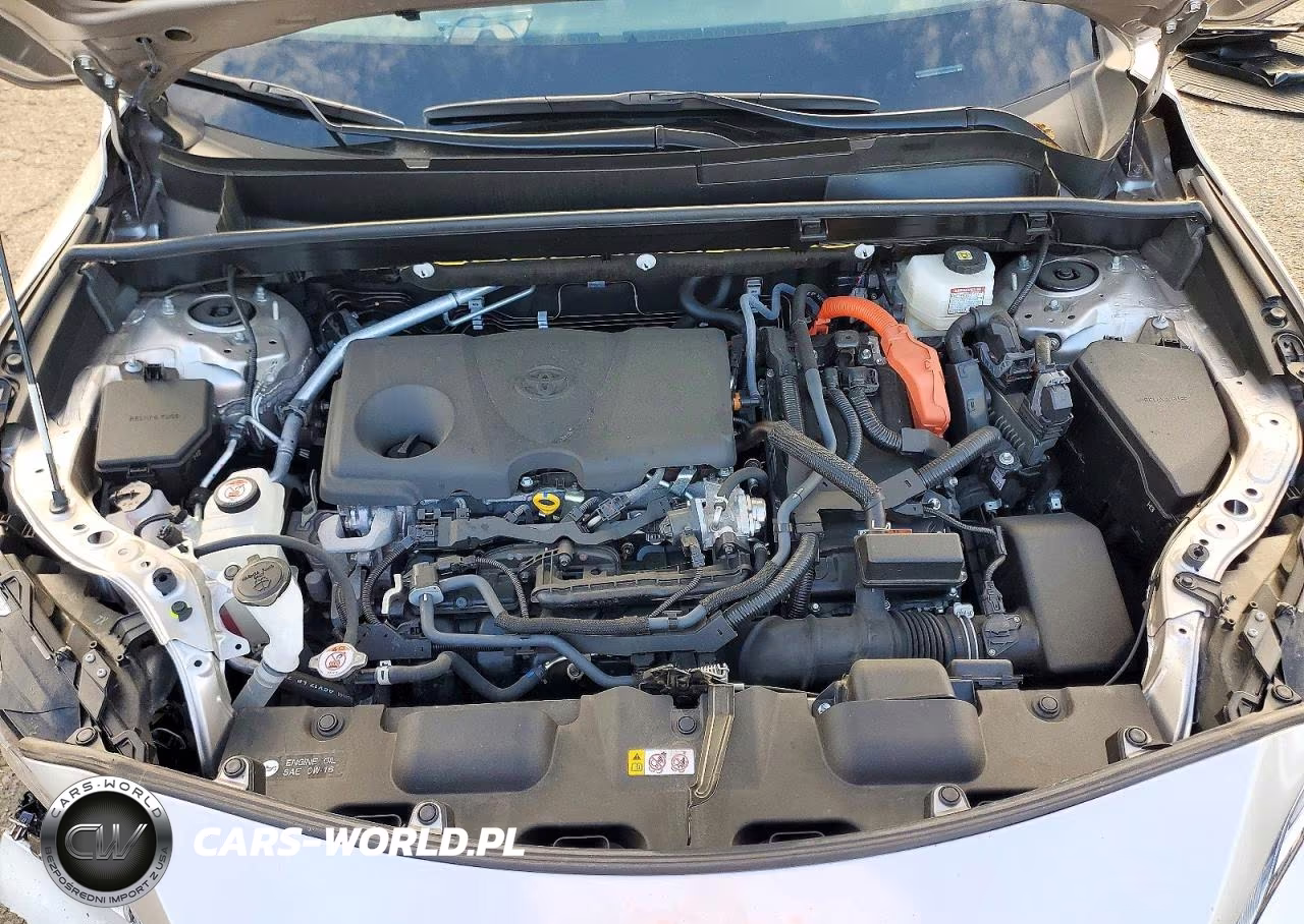 2024 Toyota Venza Xle VIN:JTEAAAAH5RJ191087 - 12