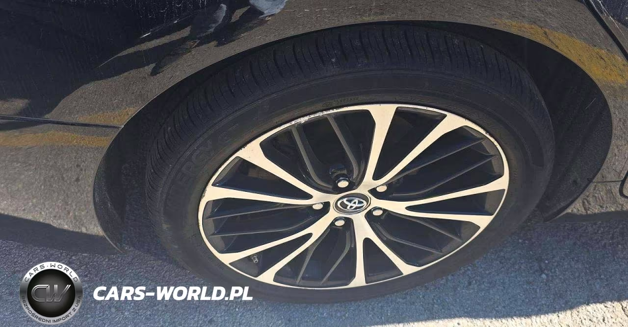 2019 Toyota Camry Se VIN:4T1B11HK5KU739535 - 10