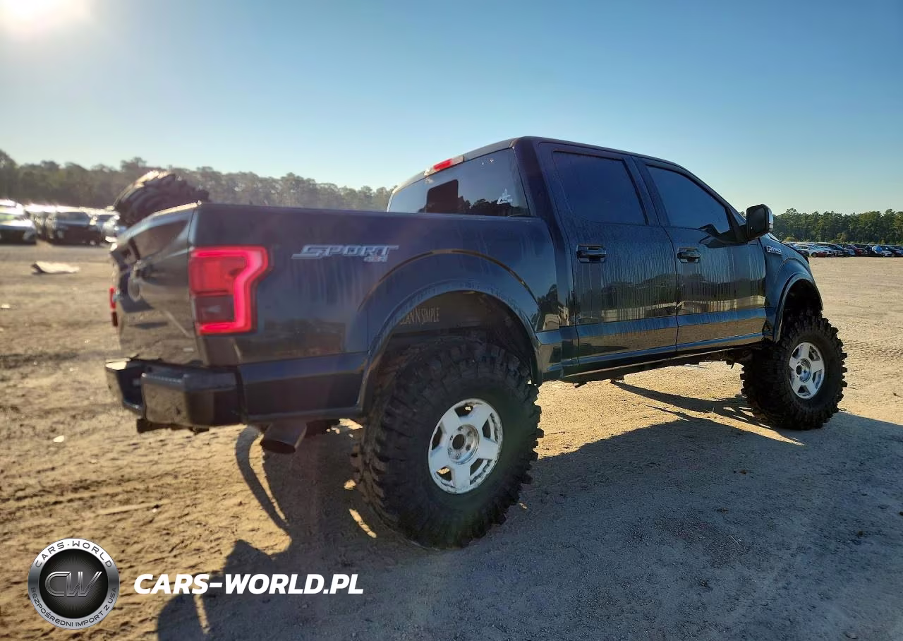 2016 Ford F150 Supercrew VIN:1FTEW1EF0GFC78105 - 3