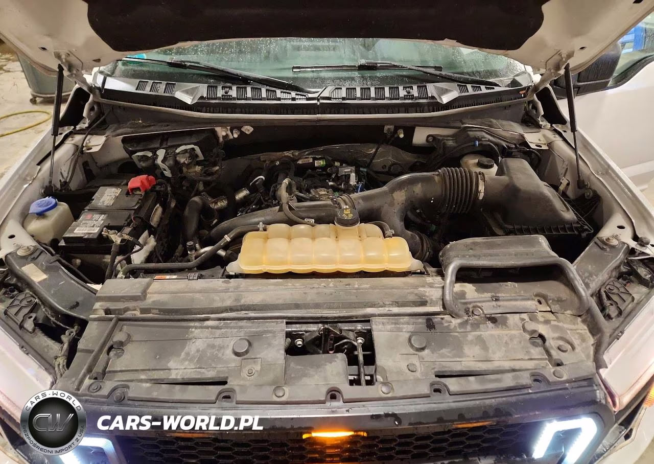 2019 Ford F150 Supercrew VIN:1FTEW1EP5KFA62140 - 11