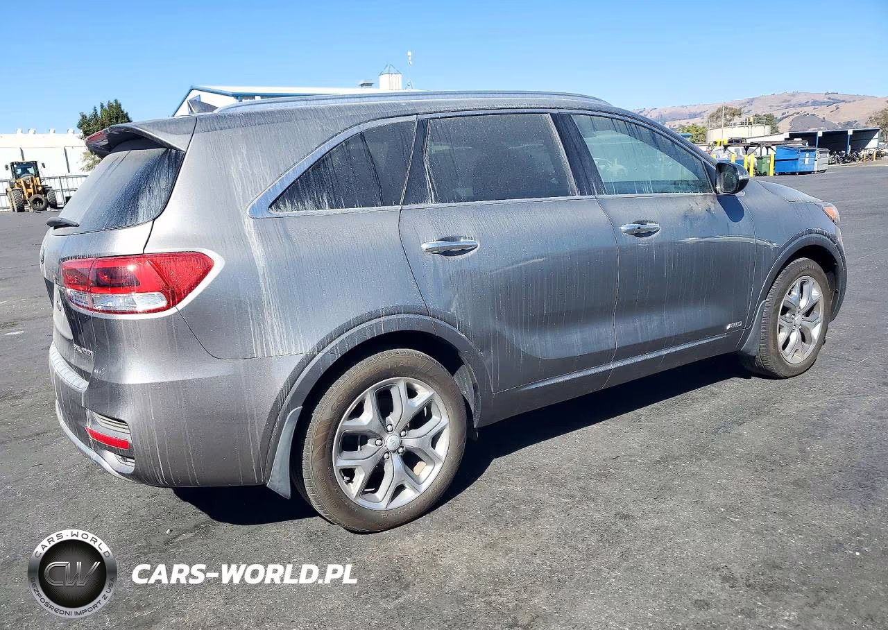 2016 Kia Sorento 2.0T Sxl VIN:5XYPKDA10GG030756 - 3