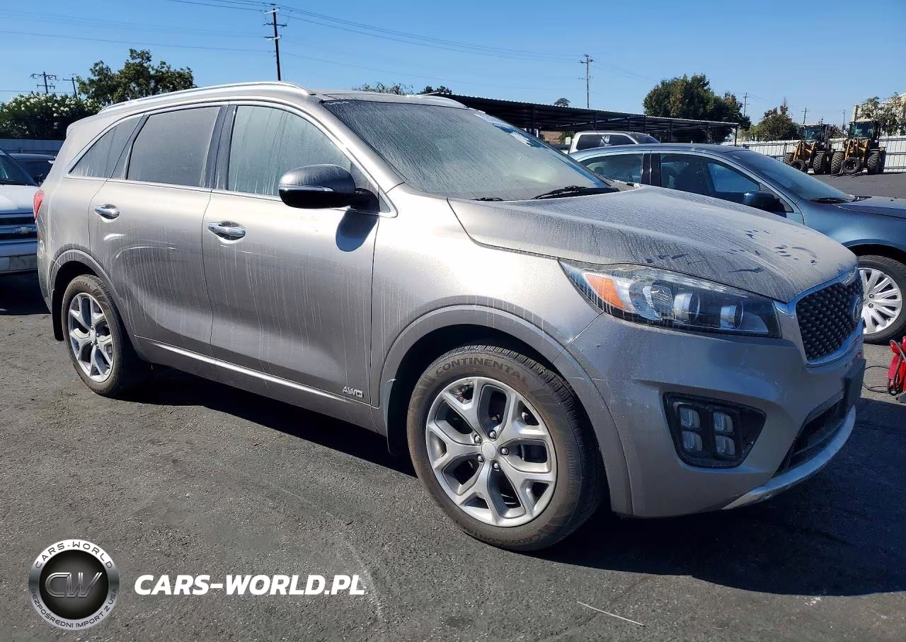 2016 Kia Sorento 2.0T Sxl VIN:5XYPKDA10GG030756 - 4