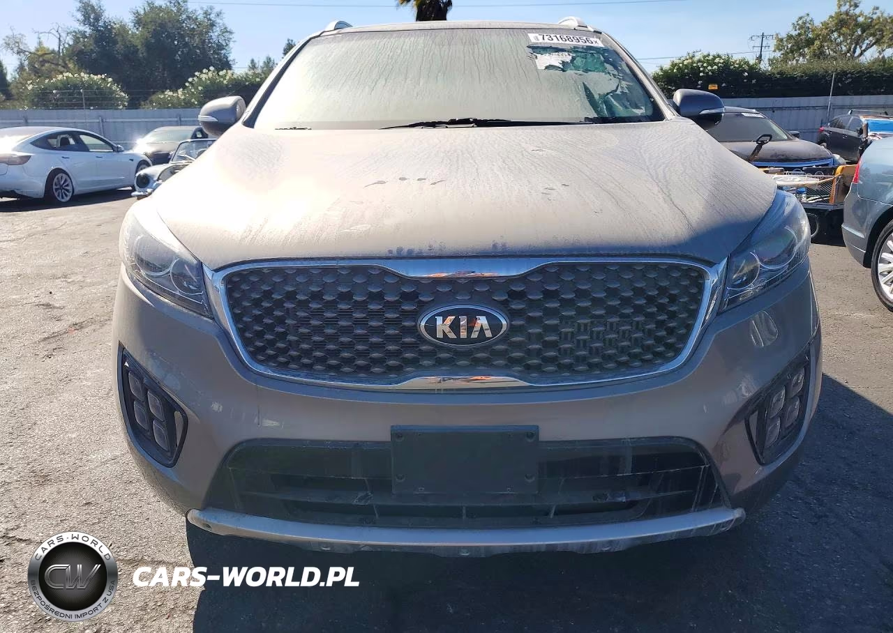 2016 Kia Sorento 2.0T Sxl VIN:5XYPKDA10GG030756 - 5