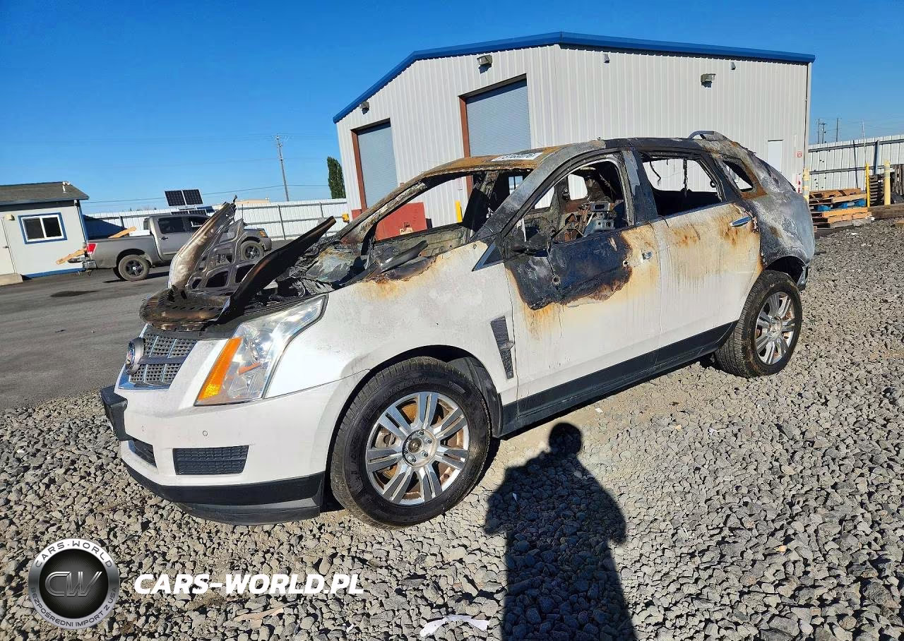 2011 Cadillac Srx Luxury Collection VIN:3GYFNDEY0BS633606 - 1