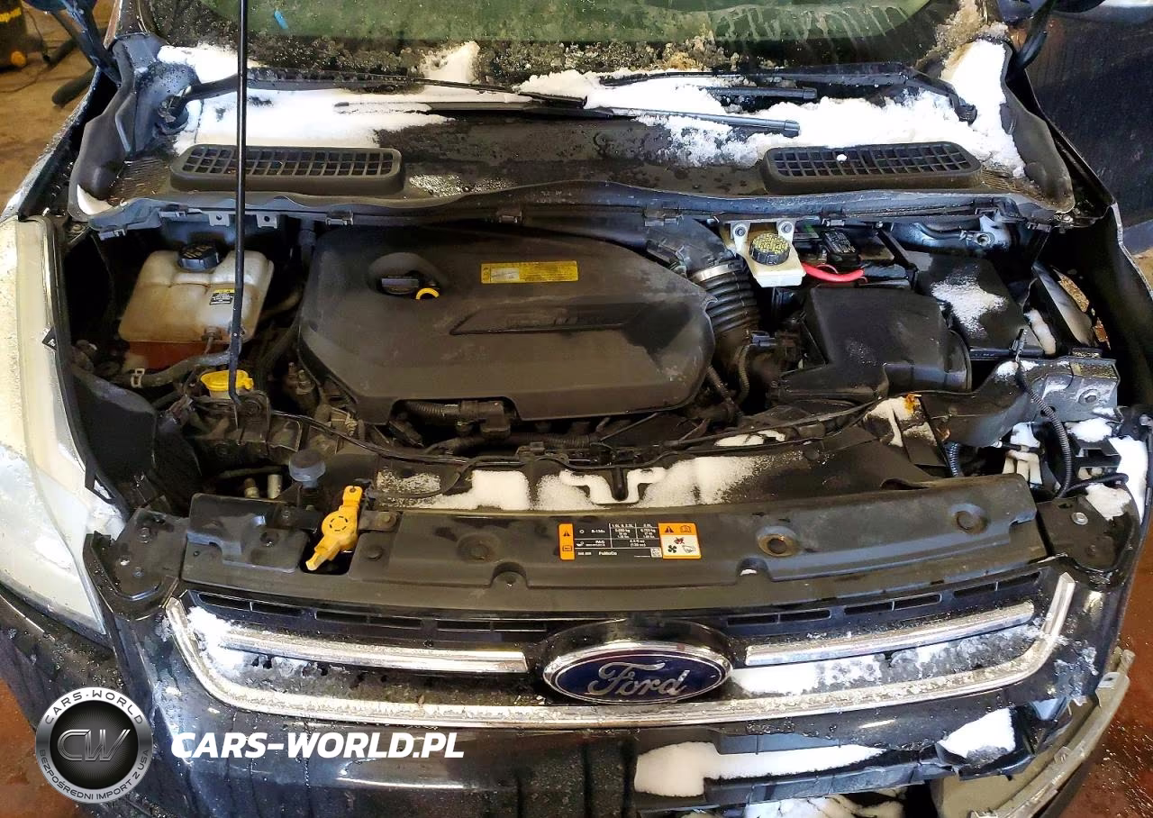 2013 Ford Escape Sel VIN:1FMCU0HXXDUA04554 - 12