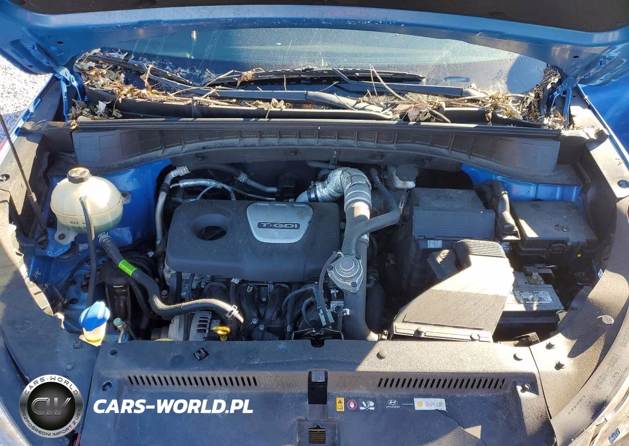 2018 Hyundai Tucson Value VIN:KM8J33A21JU637188 - 12