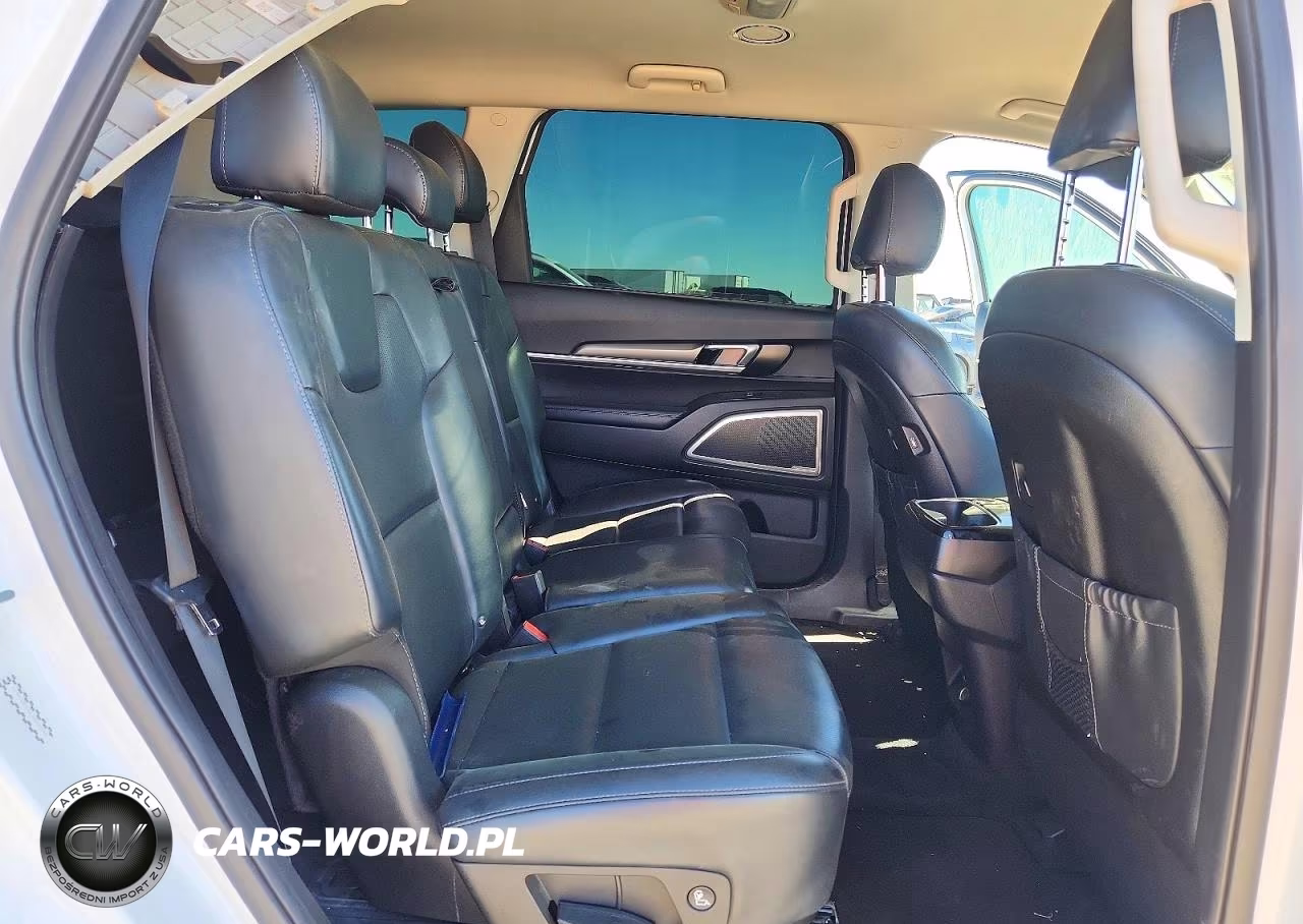 2020 Kia Telluride Lx VIN:5XYP2DHC5LG069554 - 11