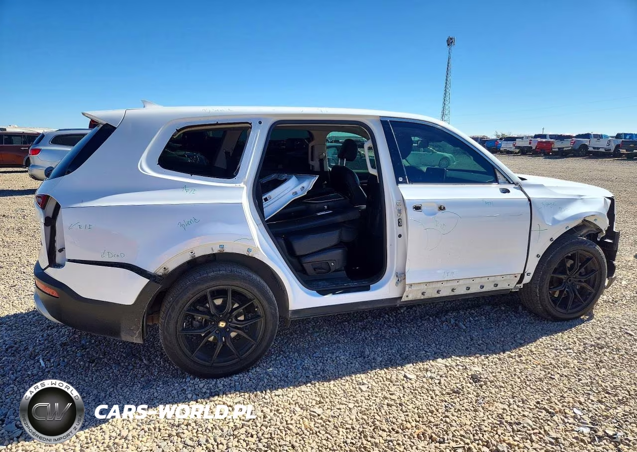 2020 Kia Telluride Lx VIN:5XYP2DHC5LG069554 - 3