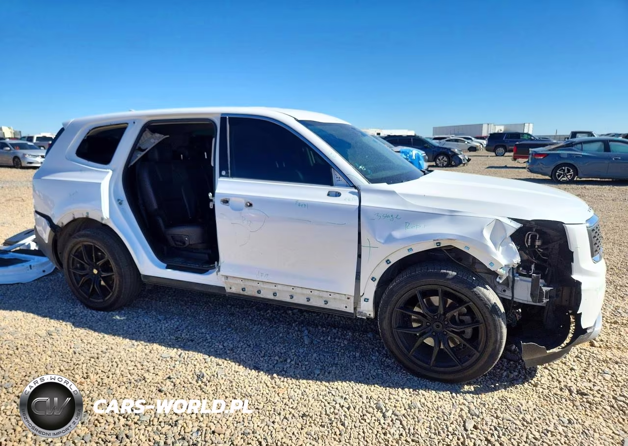 2020 Kia Telluride Lx VIN:5XYP2DHC5LG069554 - 4