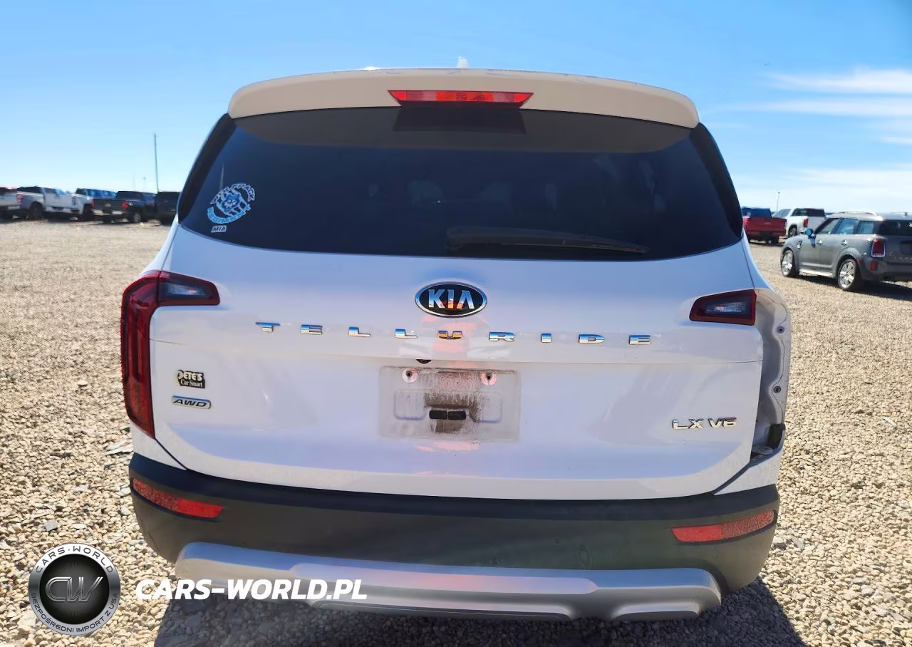 2020 Kia Telluride Lx VIN:5XYP2DHC5LG069554 - 6