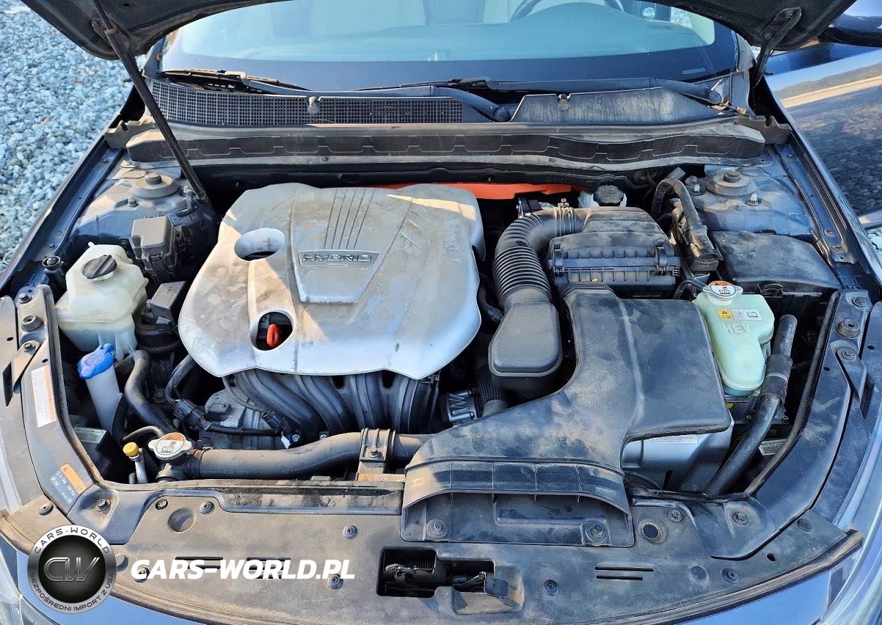 2014 Kia Optima Hybrid VIN:KNAGM4AD3E5067212 - 11