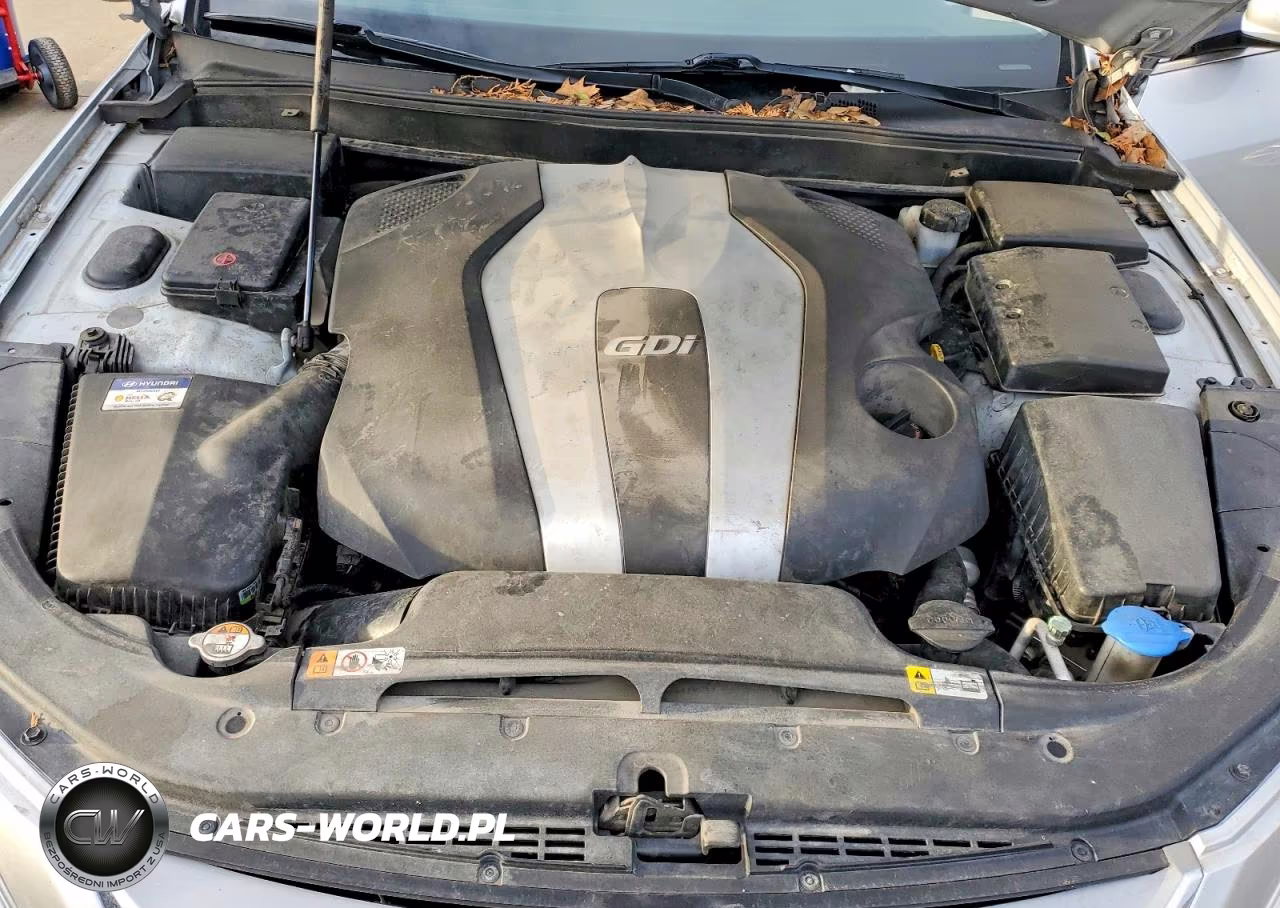 2013 Hyundai Genesis 3.8L VIN:KMHGC4DD7DU233703 - 11