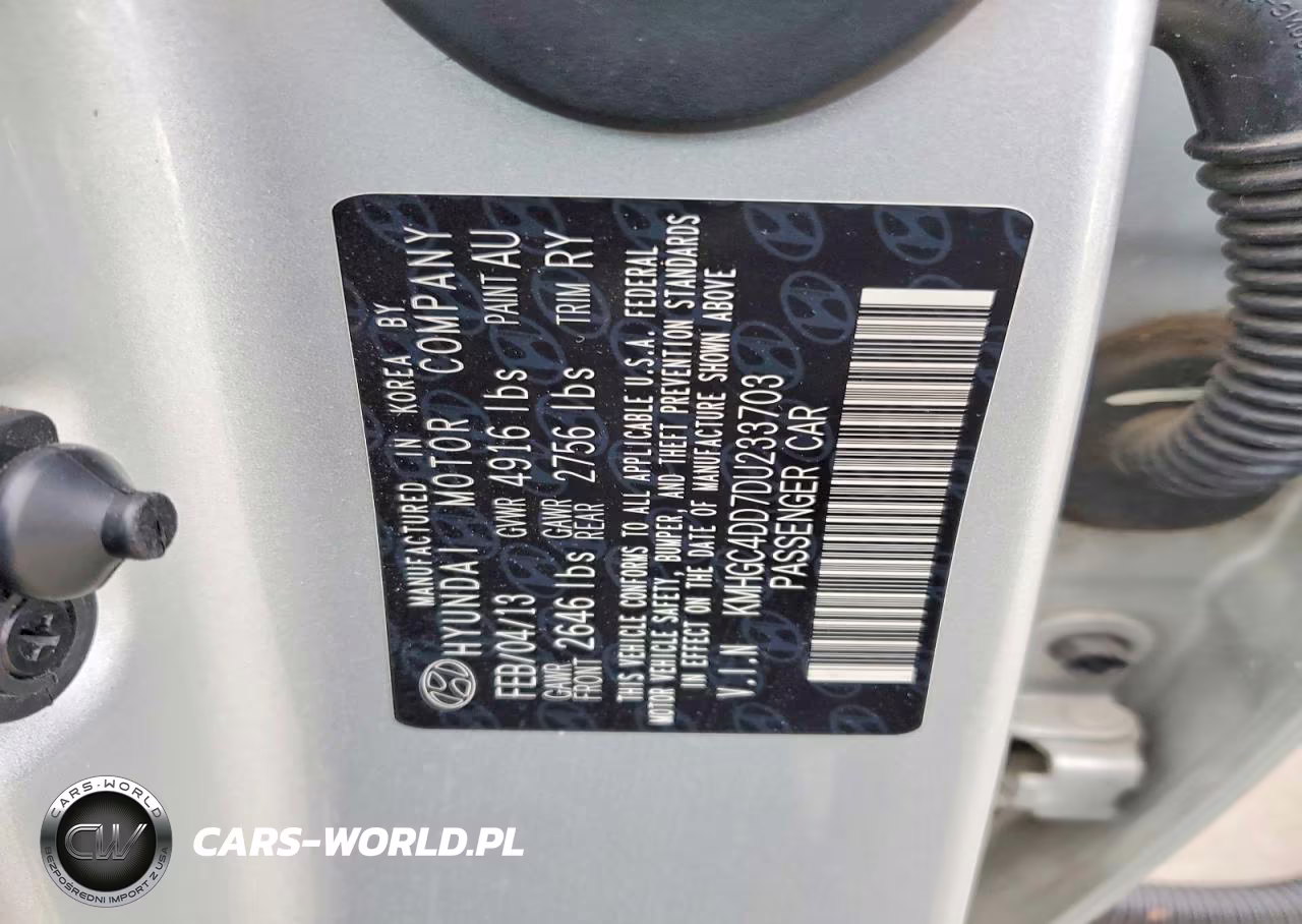 2013 Hyundai Genesis 3.8L VIN:KMHGC4DD7DU233703 - 12