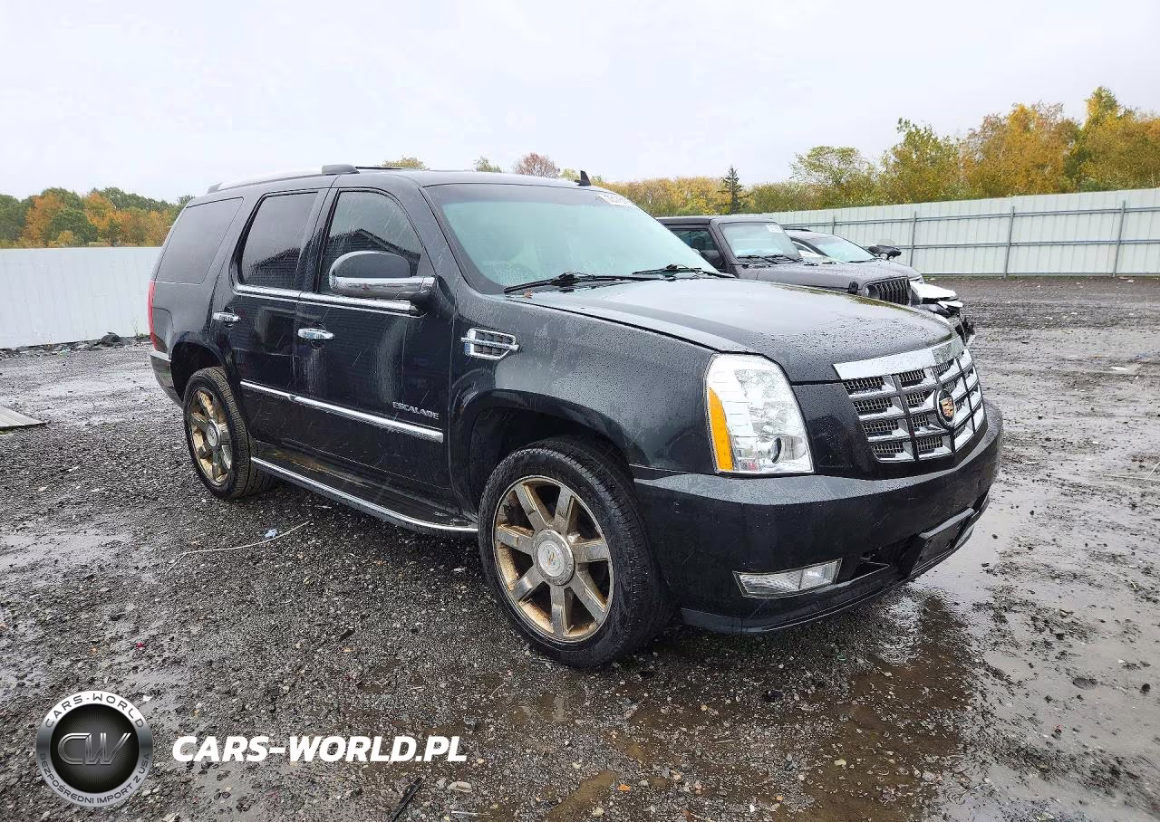 2011 Cadillac Escalade Luxury VIN:1GYS4BEF8BR389971 - 4