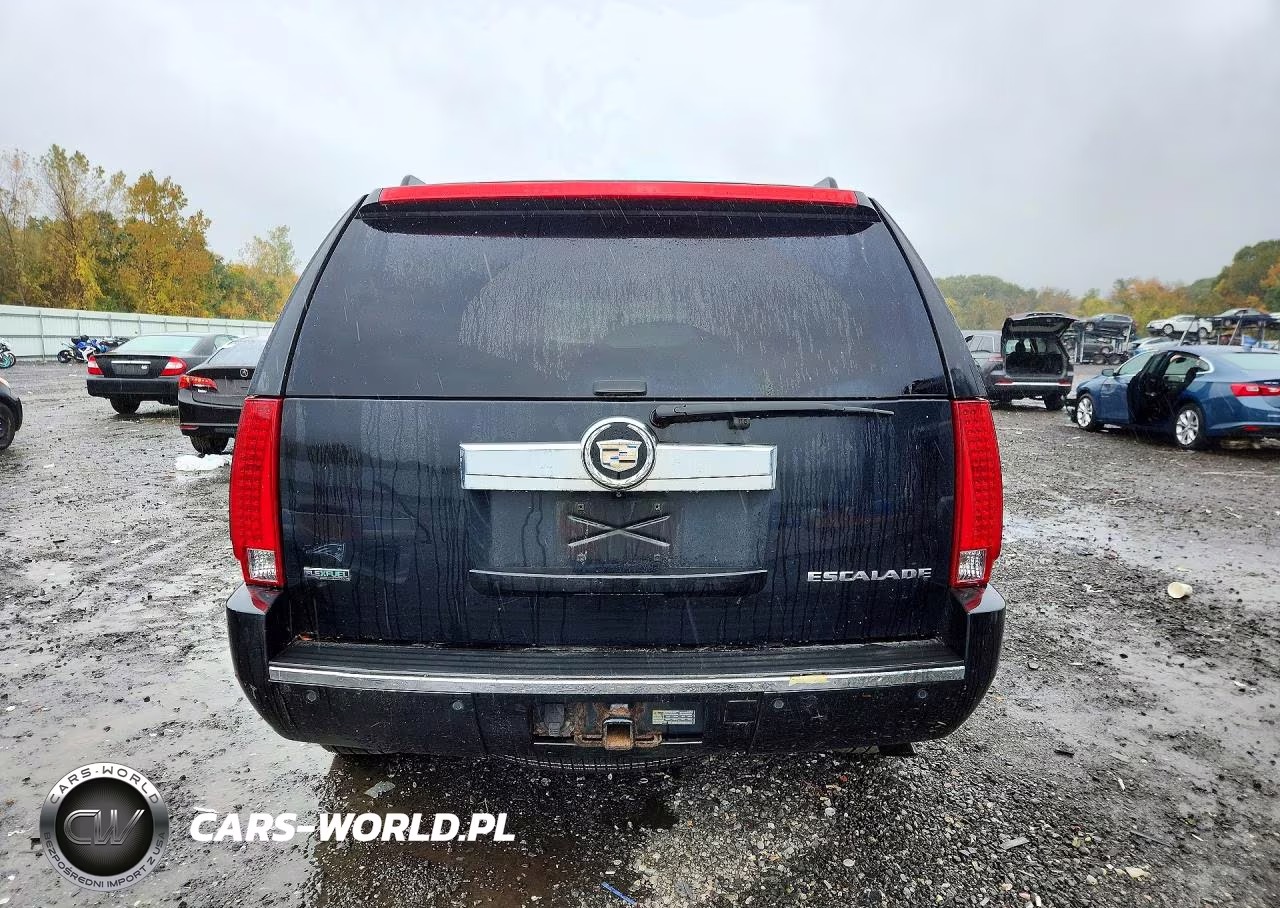 2011 Cadillac Escalade Luxury VIN:1GYS4BEF8BR389971 - 6