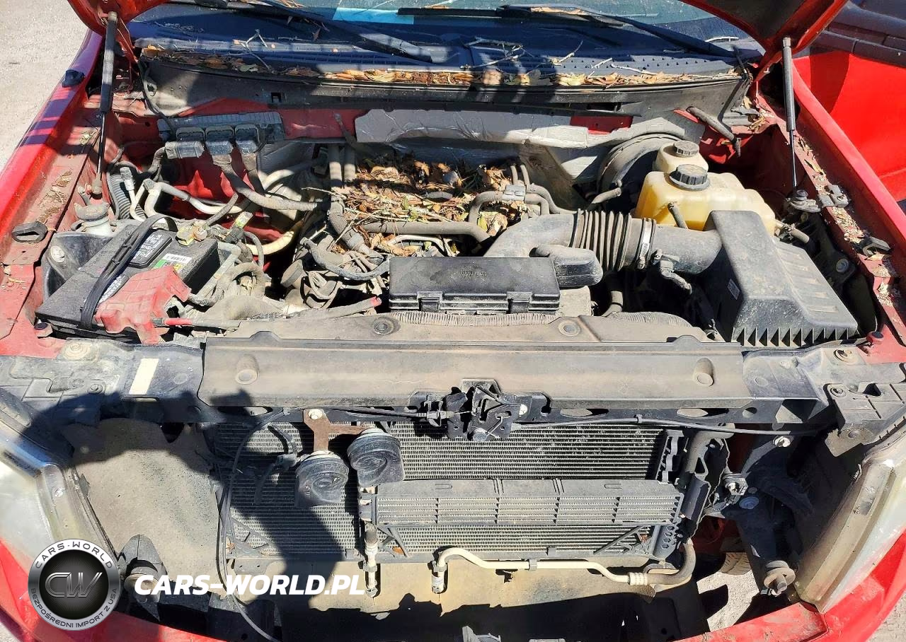 2013 Ford F150 Super Cab VIN:1FTFX1CF0DKF63491 - 11