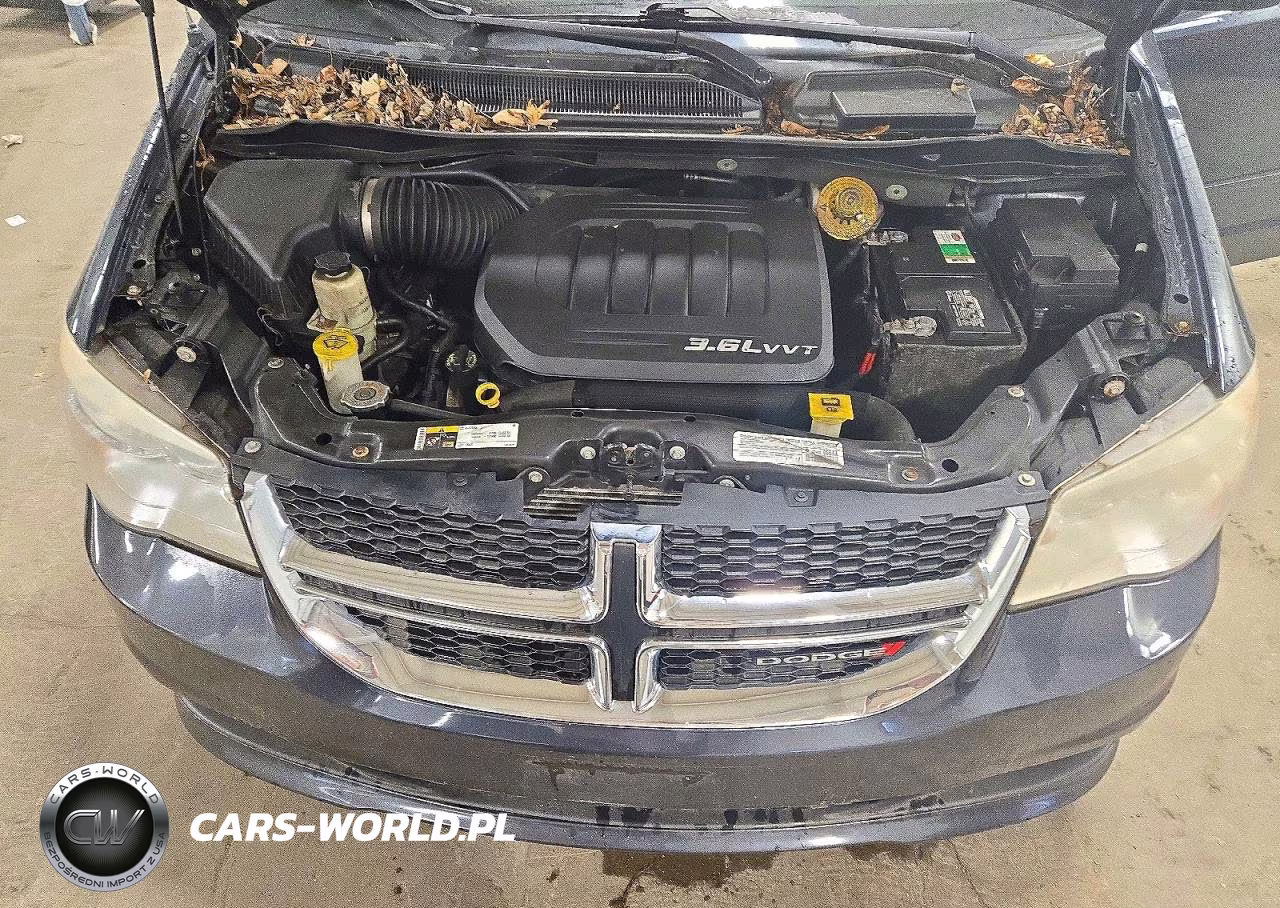 2014 Dodge Grand Caravan Se VIN:2C4RDGBG1ER323615 - 12