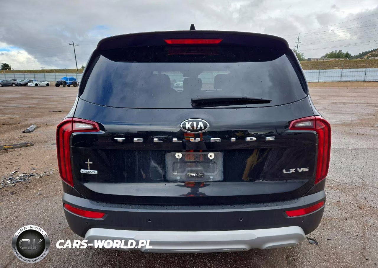2020 Kia Telluride Lx VIN:5XYP2DHC4LG016912 - 6