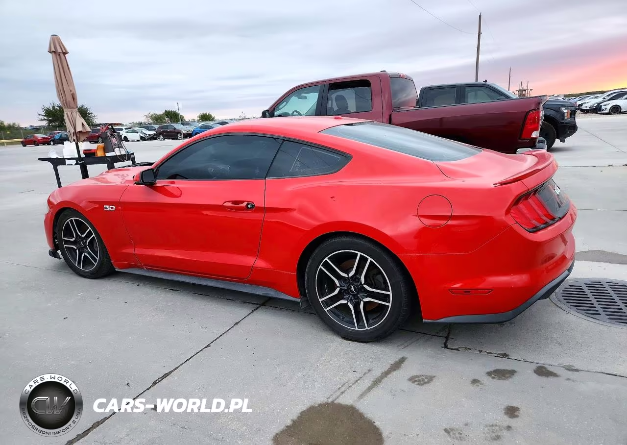2019 Ford Mustang Gt VIN:1FA6P8CF9K5194351 - 2