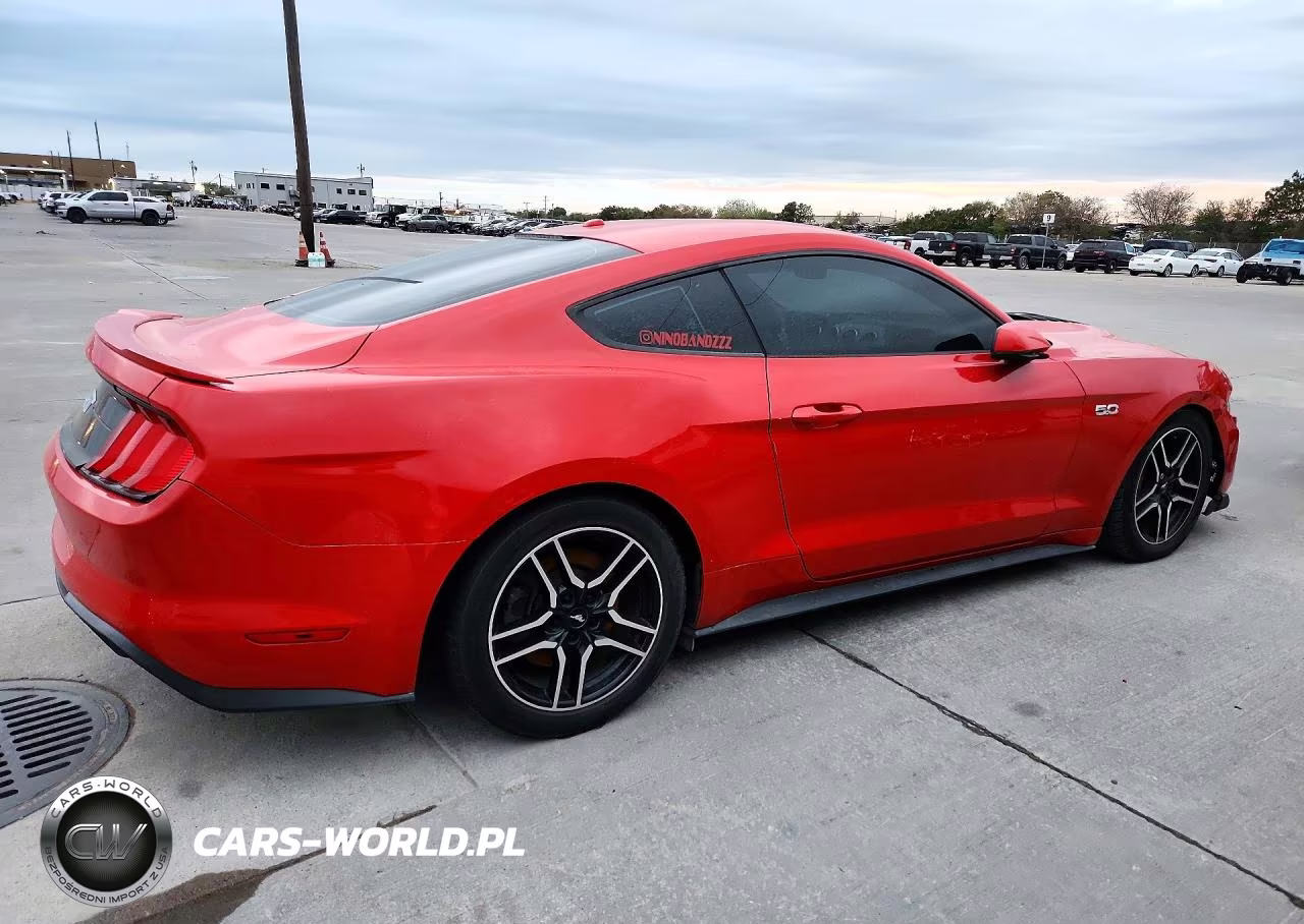 2019 Ford Mustang Gt VIN:1FA6P8CF9K5194351 - 3