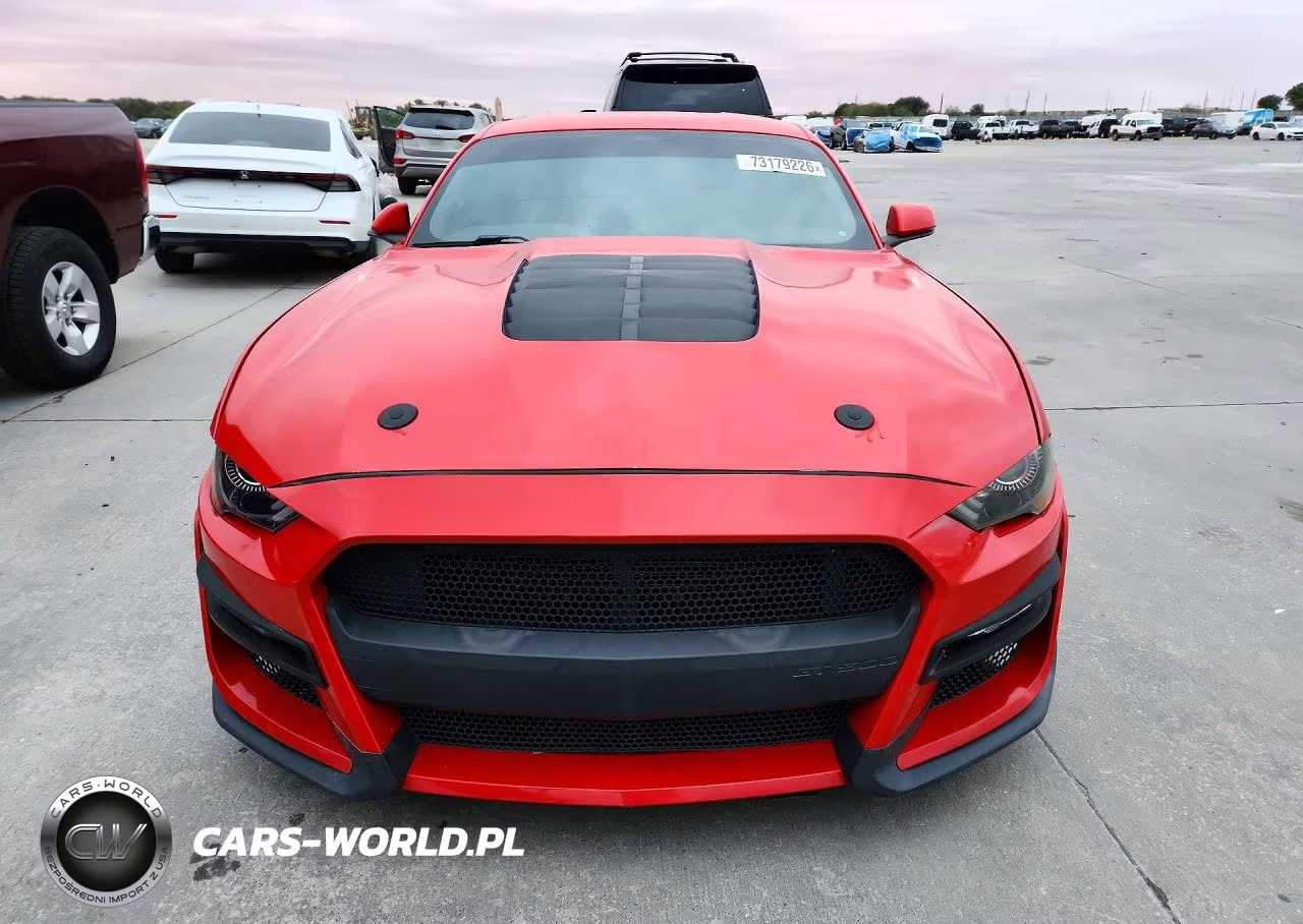 2019 Ford Mustang Gt VIN:1FA6P8CF9K5194351 - 5