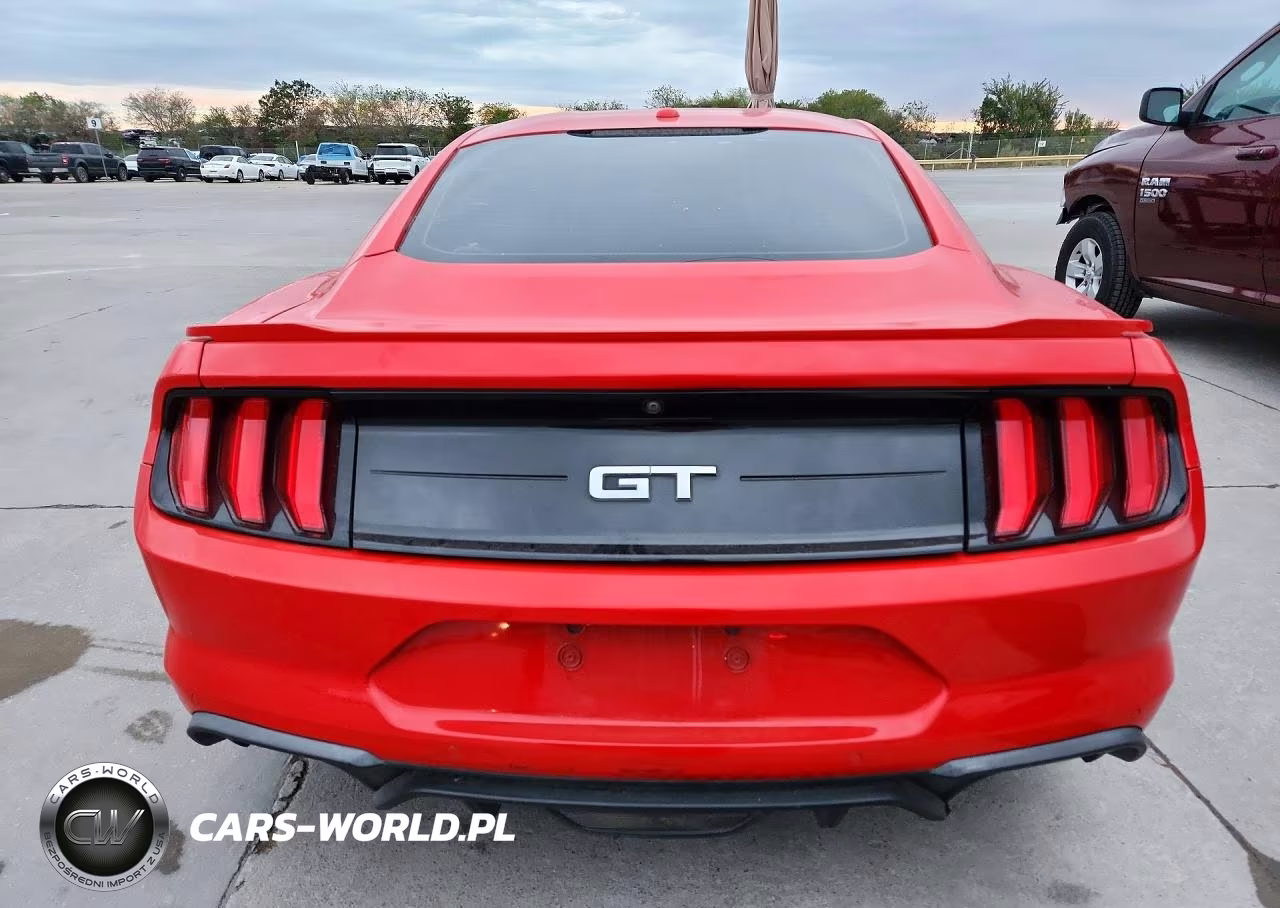 2019 Ford Mustang Gt VIN:1FA6P8CF9K5194351 - 6