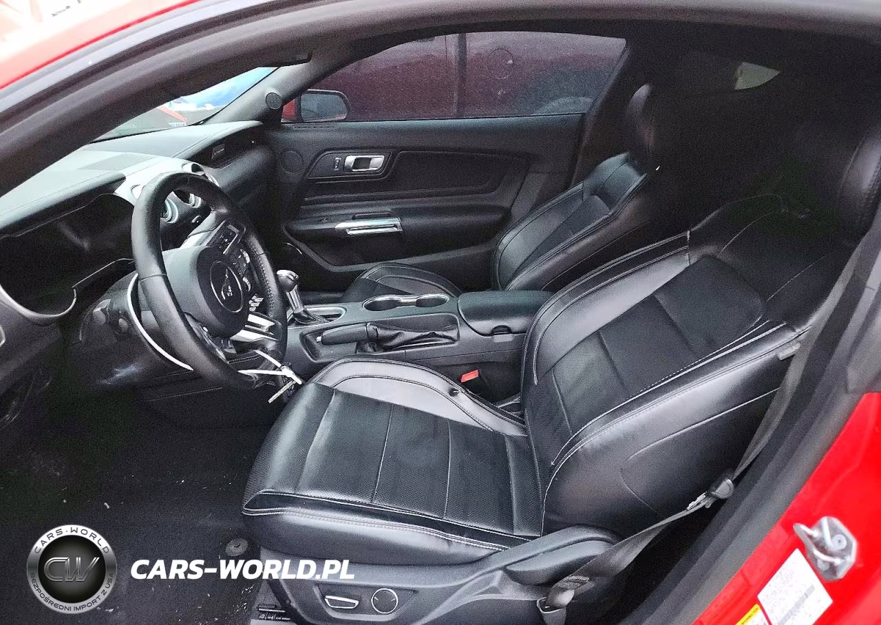 2019 Ford Mustang Gt VIN:1FA6P8CF9K5194351 - 7