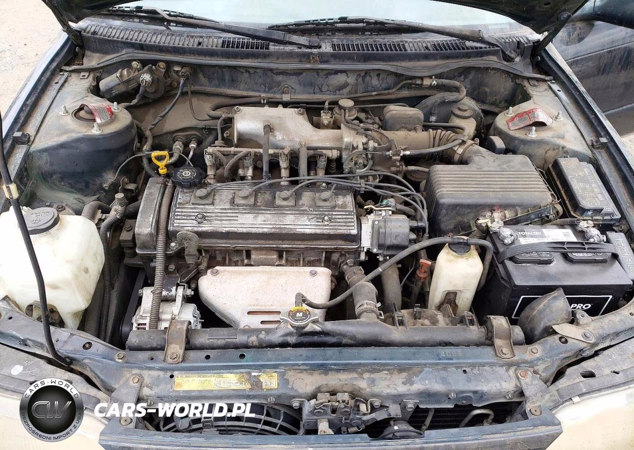 1996 Toyota Corolla Dx VIN:1NXBB02E8TZ405723 - 11