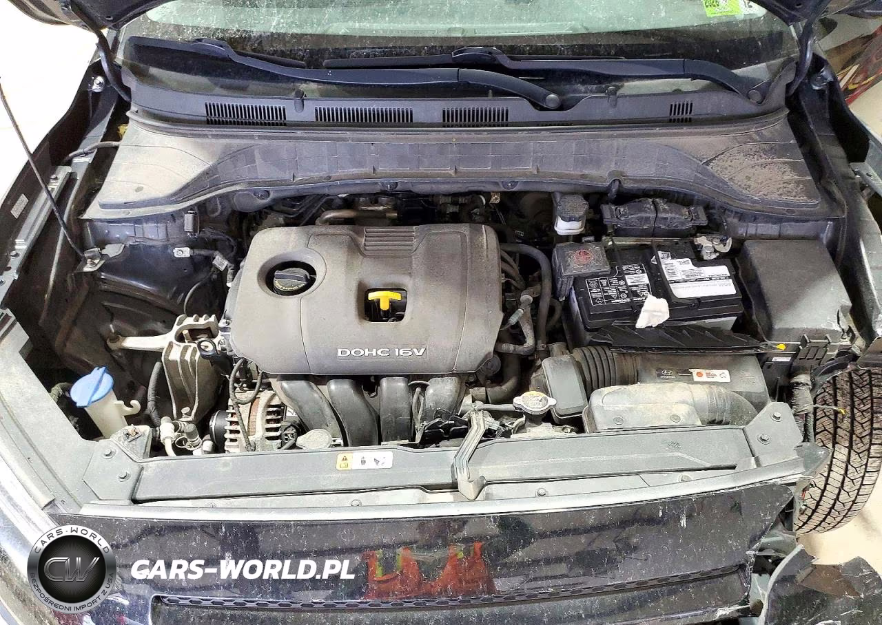 2020 Hyundai Kona Sel Plus VIN:KM8K62AA2LU495918 - 12