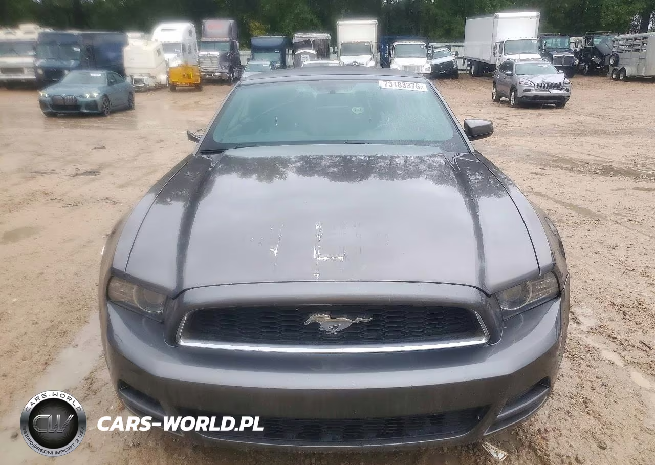 2014 Ford Mustang VIN:1ZVBP8EM7E5220306 - 5