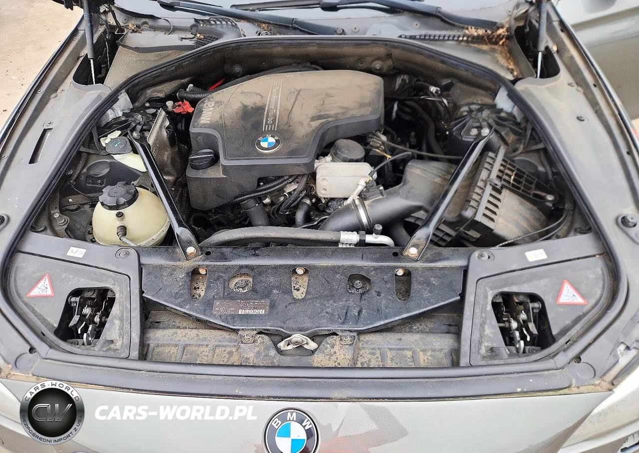 2014 BMW 528 Xi VIN:WBA5A7C53ED612256 - 11
