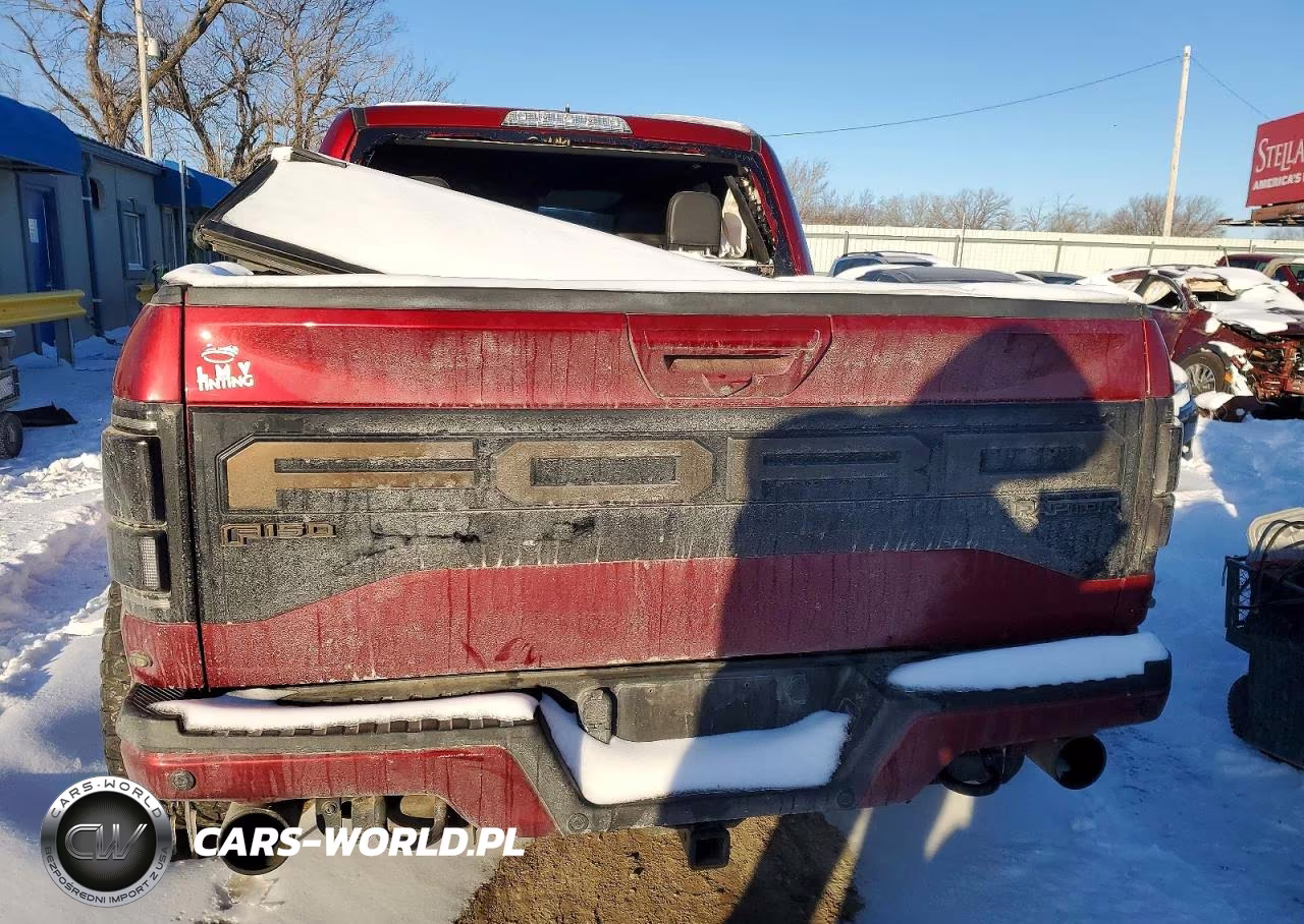 2018 Ford F150 Raptor VIN:1FTFW1RG5JFB27050 - 6