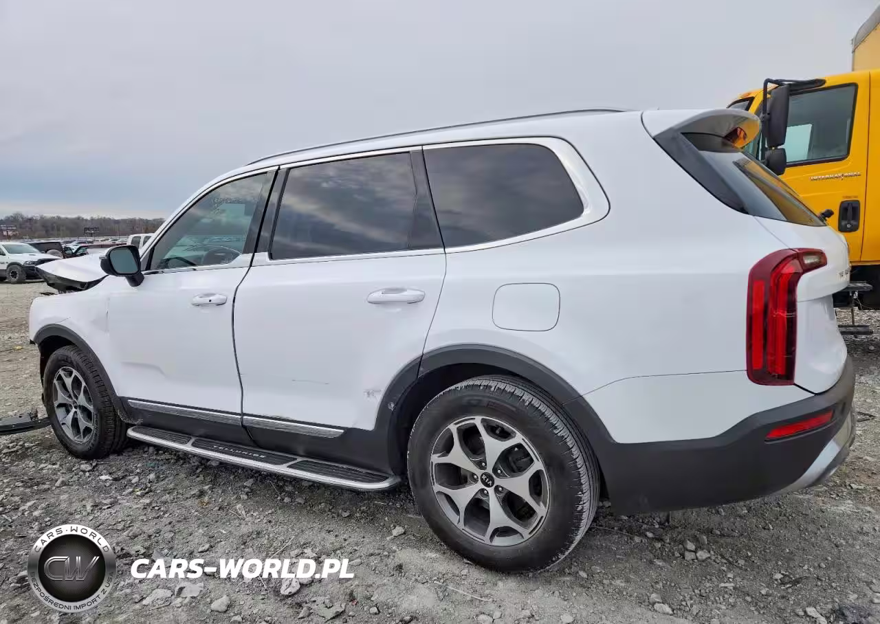 2021 Kia Telluride Ex VIN:5XYP34HC4MG133565 - 2