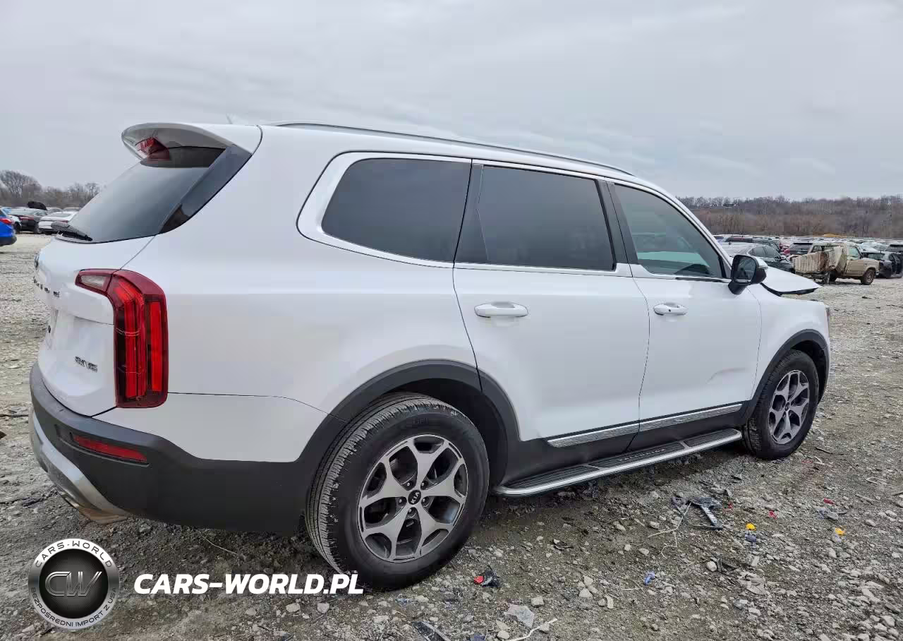 2021 Kia Telluride Ex VIN:5XYP34HC4MG133565 - 3