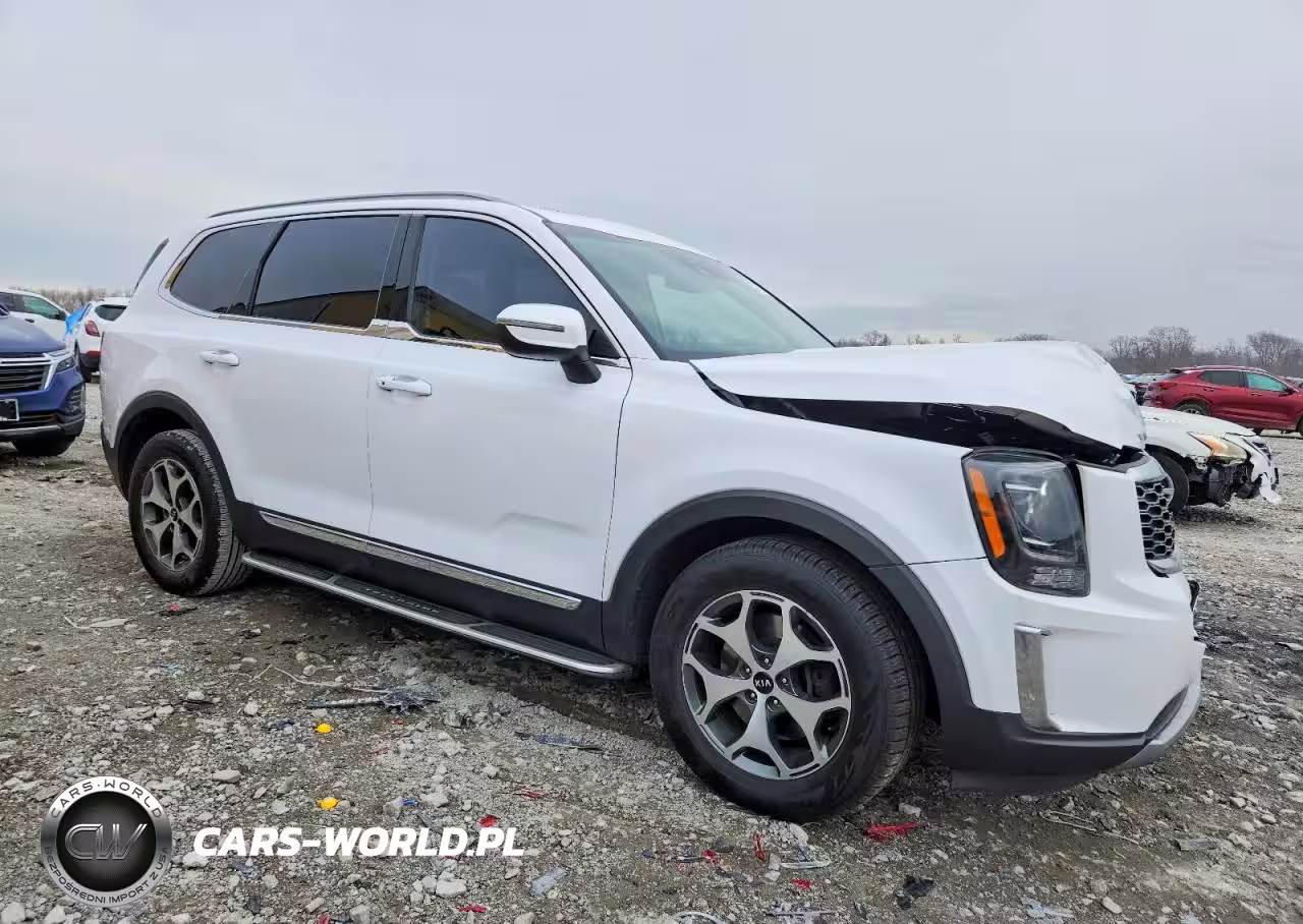 2021 Kia Telluride Ex VIN:5XYP34HC4MG133565 - 4