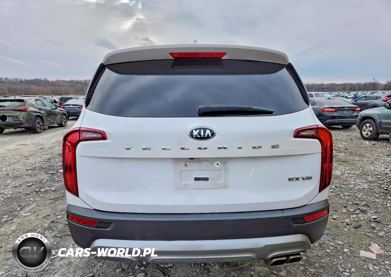 2021 Kia Telluride Ex VIN:5XYP34HC4MG133565 - 6