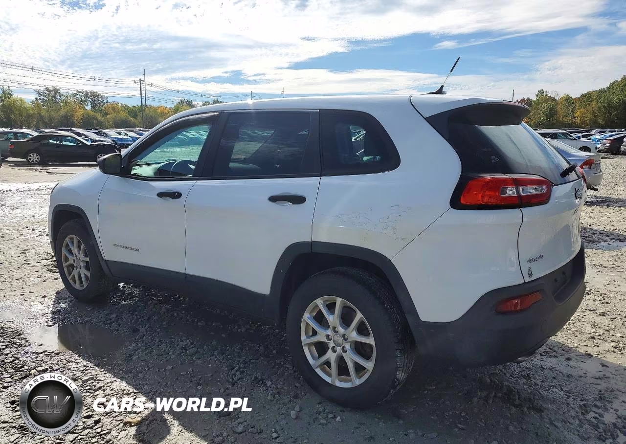 2014 Jeep Cherokee Sport VIN:1C4PJMAB6EW166563 - 2